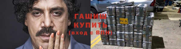 мет Алексин