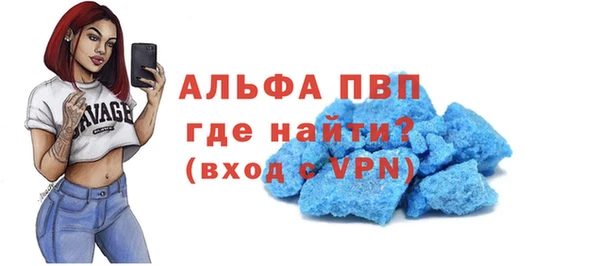 мет Алексин