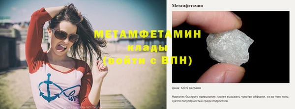 мет Алексин
