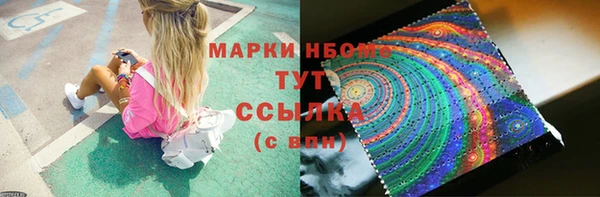 мет Алексин