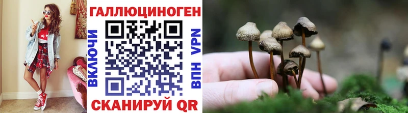 Псилоцибиновые грибы GOLDEN TEACHER  закладка  Павлово 